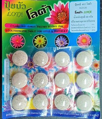 ��� ������ 12 ������