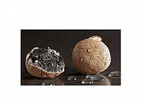 �������� / ����� ���� ���� �����  �� 10 ���� Leterlite Agrilite 10L