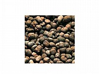 הידרוטון / אקווה קליי חימר מותפח שק 50 ליטר Leterlite Agrilite 50L