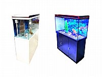אקווריום זכוכית לדגי נוי 224 ליטר 100 ס