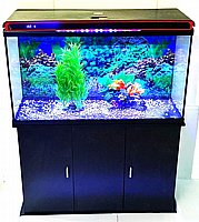 אקווריום זכוכית לדגי נוי 224 ליטר 100 ס