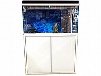 אקווריום זכוכית לדגי נוי 224 ליטר 100 ס