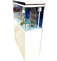 אקווריום זכוכית לדגי נוי 224 ליטר 100 ס
