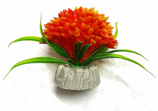 ��� ������ ������ 8X8 �"�  ���� 109ORANGE