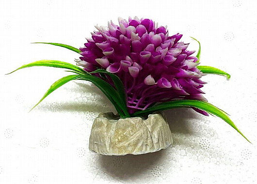 ��� ������ ������ 8X8 �"�  ���� 109PURPLE