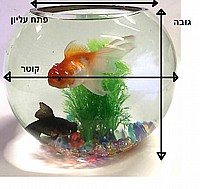 צנצנת זכוכית קוטר 18 ס