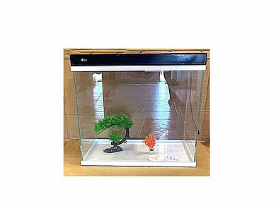 אקווריום דגי נוי מרובע 40 ס"מ, 41 ליטר, זכוכית שקופה, דקורטיבי 400ZL/CJ אקווריום דגי נוי מרובע 40 ס"מ, 41 ליטר, זכוכית שקופה, דקורטיבי 400ZL/CJ