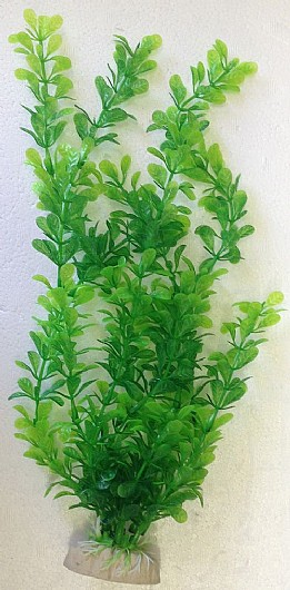 ��� ������ ���� 30 �"� ����  A1204
