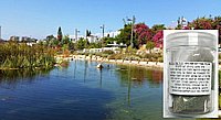 קוטל אצות וירוקת ביולוגי 5 קו