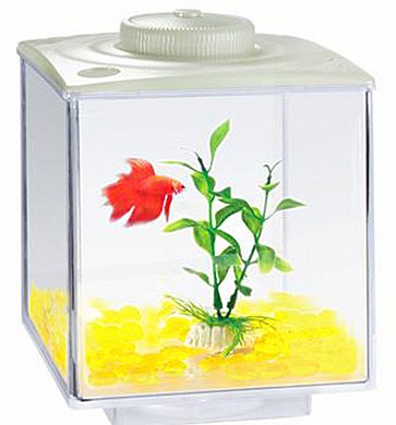 אקווריום 3 ליטר פלסטיק AQUA SYNCRO AW30 אקווריום 3 ליטר פלסטיק AQUA SYNCRO AW30