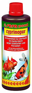 ����� ������ ������ ������ ������ ��� ����� SEAR CYPRINOPUR