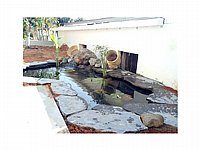 יריעת EPDM גומי לבריכות נוי 1.0 מ