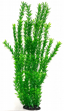 צמח פלסטיק גובה 60 ס"מ ירוק FA60cm085B צמח פלסטיק גובה 60 ס"מ ירוק FA60cm085B