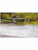 מערכת משולבת משאבה+מסנן+UV,לבריכות נוי ומזרקות 2500 ל