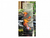 מגדל דגים דקורטיבי לבריכת נוי יובינק UBBINK FISHTOWER-66