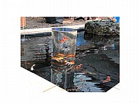 מגדל דגים דקורטיבי לבריכת נוי יובינק UBBINK FISHTOWER-66