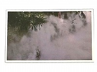 ראש מזרקה ג'ט ערפל (MIST), נירוסטה הברגה