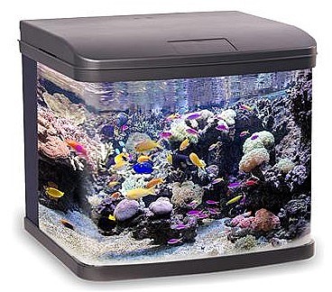 �������� ������ �������� GT50