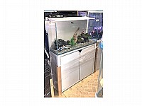 �������� 50 ���� ��������  GT-600  ��� �� ����