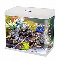 �������� 18 ���� �������� Sea Star HX-318F-R ����