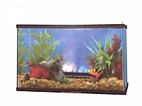 אבן אויר מקצועית NATURAL COLORS ASC89028