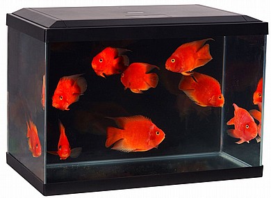 �������� 60 ���� �������� AQUA SYNCRO LT60A  