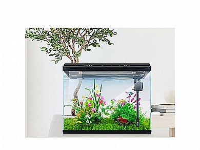 אקווריום זכוכית 12 ליטר דגי נוי מרובע לבן Sea Star OY-300-W אקווריום זכוכית 12 ליטר דגי נוי מרובע לבן Sea Star OY-300-W