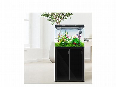 אקווריום זכוכית 78 ליטר דגי נוי מרובע לבן Sea Star OY-620-WT אקווריום זכוכית 78 ליטר דגי נוי מרובע לבן Sea Star OY-620-WT