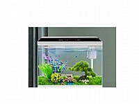 �������� ������ 78 ���� ��� ��� ����� ���  Sea Star OY-620-WT 