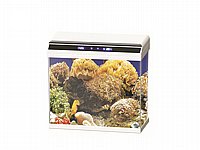 �������� ������ 78 ���� ��� ��� ����� ���  Sea Star OY-620-WT 
