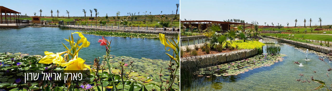 פארק אריאל שרון