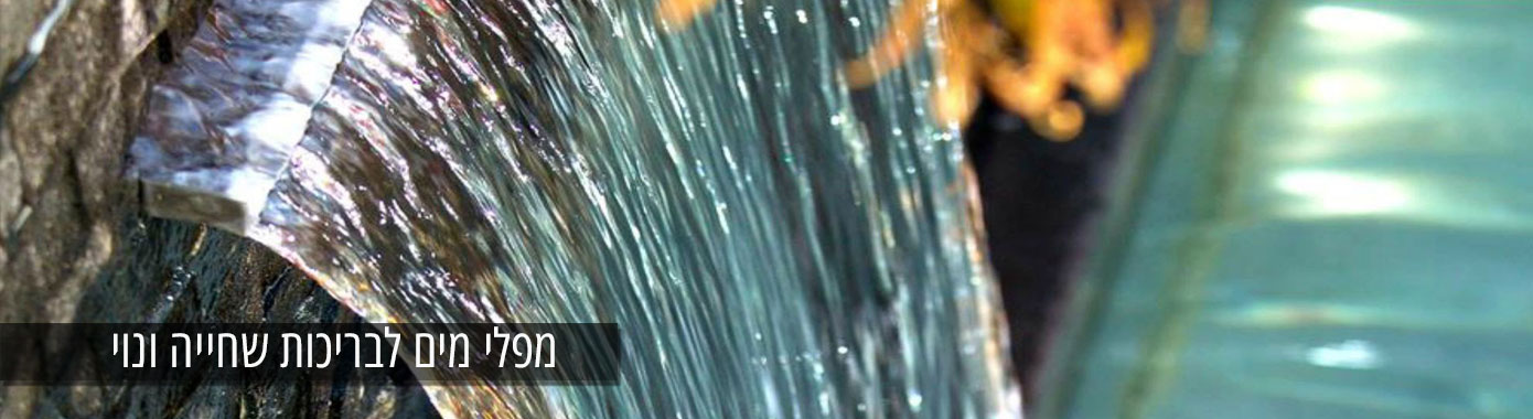 מפל מים