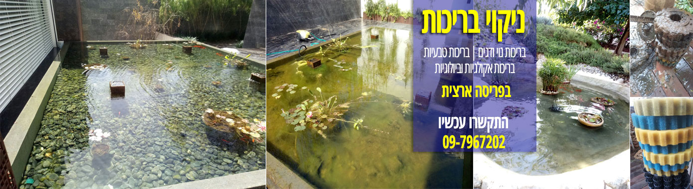 ניקוי בריכות