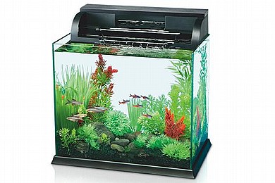 �������� ��� 35 �"�, ������, ������ �������� ���  WOA19 ����� ������ AQUA SYNCRO