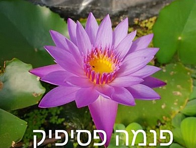 צמח מים צמח מים