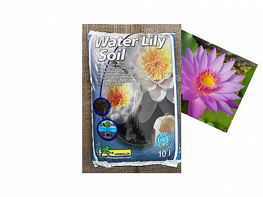 ��� ������ ��� ����� ��� ������ ��� ��� ��� 10 ���� UBBINK LILY