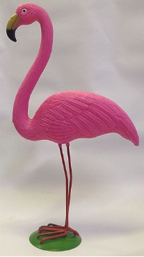 çéåú ôìñèé÷ ìáøéëä åâéðä