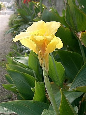 ��� ��� ������ ��� ������